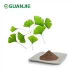 Ginkgo Biloba-extractpoeder