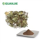 Gymnema Extract poeder