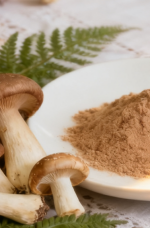 Whole Mushroom Powder Whole Mushroom Powder